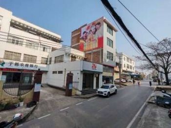 揭阳墙体广告,汕头护肤品喷绘**广告制作户外墙面广告