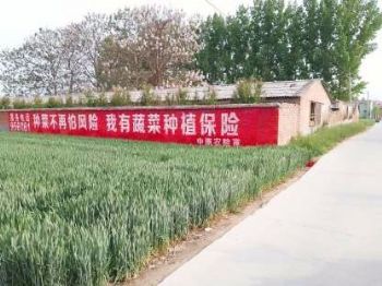 墙体广告甘肃武威墙体广告 定西通渭农业墙面广告