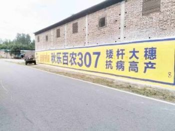 衡水墙体广告,廊坊户外墙体喷画刷涂料广告手绘壁画