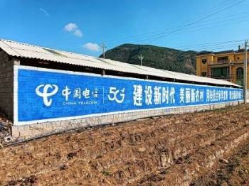 衡水墙体广告,承德美丽乡村绘画户外刷墙广告艺术墙体彩绘