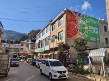 陕西汉中墙体广告墙体广告 镇巴县调味料手写墙体广告