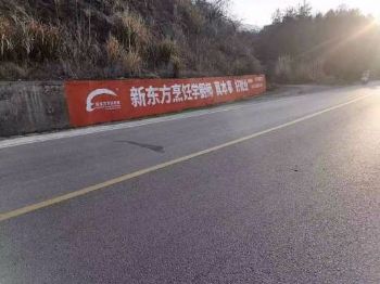 陕西咸阳墙体广告墙体广告 吴起驾校喷绘墙体广告