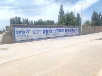 墙体广告庆阳墙体广告 陇南文县农村刷墙广告 农村刷墙广告