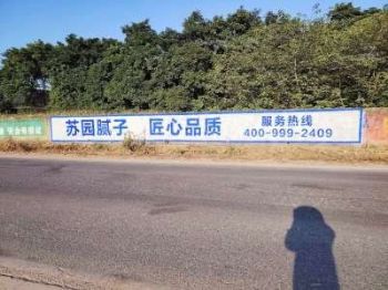 兰州墙体广告绘画刷墙写大字刷墙广告制作配电箱彩绘