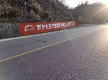 朔州墙体广告刷墙上广告新农村绘画长廊彩绘