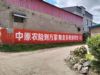 墙体广告广东揭阳墙体写大字写大字广告 台山写大字广告