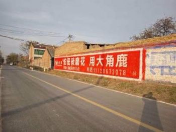 兰州墙体广告陇南手绘墙体广告 武威古浪银行区县墙体广告