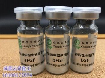 重组人酸性成纤维细胞生长因子（rh-afgf）