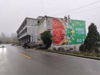 墙体广告甘肃张掖手绘墙体广告 陇南两当户外刷墙广告