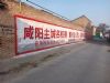 墙体广告甘肃金昌手绘墙体广告 崆峒静宁墙体刷墙广告