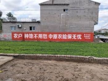 湖南怀化手绘墙体广告怀化 湖南郴州农业墙面喷绘广告