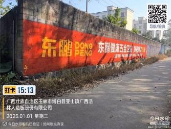 广东汕尾手绘墙体广告 墙体广告 高州喷字墙体广告