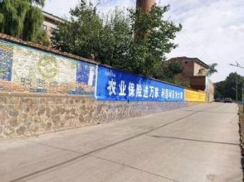 湖南郴州美丽乡村墙绘 手绘墙体广告 岳麓喷绘墙体广告