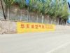 陕西墙体广告宝鸡刷涂料广告 丹凤墙体写大字