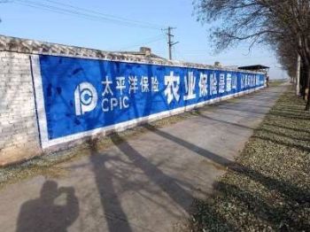 甘肃临夏户外宣传墙面广告 墙体广告 庆阳正宁手绘墙体广告
