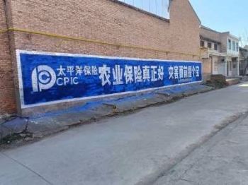 湖南墙体广告 长沙墙体喷绘广告制作张家界农村刷墙广告