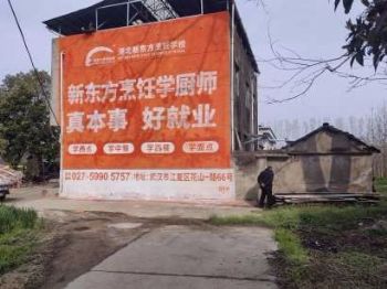 湖南墙体广告 株洲手绘墙画岳麓区县墙体广告