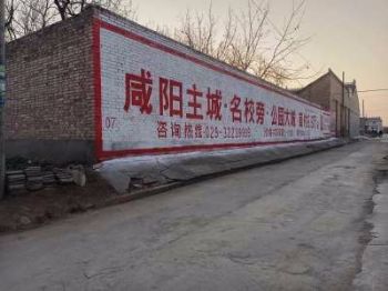 甘肃天水墙体广告 手绘墙体广告 陇南武都墙体写大字