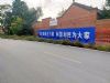 广东深圳墙体广告 佛冈手绘墙体广告 深圳农村刷墙面广告