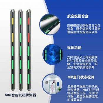 双立柱式智能铁磁探测器