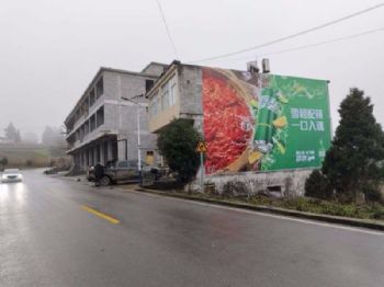 广东墙体广告 墙体广告 中山手写墙体广告 立体手绘墙