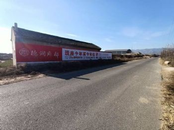 广东墙体广告 手绘墙体广告 阳江户外墙体广告 手写刷墙广告