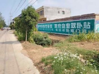湖南湘潭乡村振兴彩绘 墙体广告 雨花农村刷墙广告