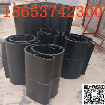 厂家定制各种规格除铁器皮带，橡胶刮板，金属刮板，rcyd/rcdd系列 