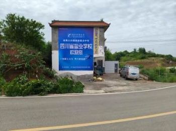 甘肃金昌墙体写大字 白银新农村建设墙体彩绘深入传达