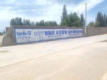 甘肃定西农村刷墙广告喷绘墙体广告 天水清水振兴乡村墙绘