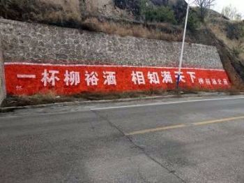 甘肃平凉户外墙体广告墙体广告 陇南文县乡村墙绘