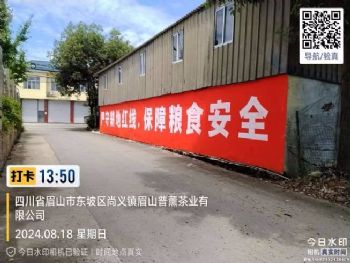 甘肃白银区县墙体广告墙上写标语 酒泉敦煌乡村振兴墙绘