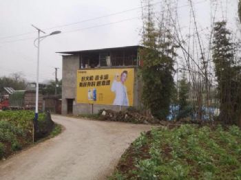 甘肃天水手写墙体广告喷绘墙体广告 张掖民乐振兴乡村墙绘