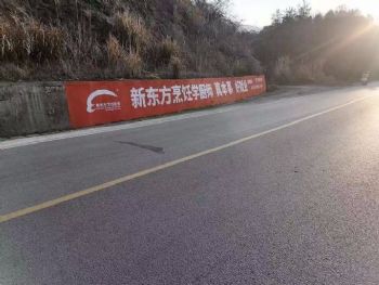 广东墙体广告湛江喷绘墙体广告 湛江乡村振兴墙绘喷绘墙体广告