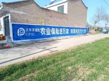 陕西墙体广告 宝鸡墙体广告 宝鸡户外喷绘广告墙记忆深刻