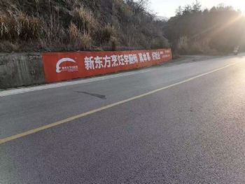 陕西墙体广告 汉中喷绘墙体广告 铜川刷涂料广告