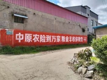 甘肃墙体广告 定西喷绘墙体广告 临夏乡村振兴彩绘