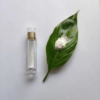 大比表面积γ纳米氧化铝 催化剂用氧化铝 30nm三氧化二铝 cy-l20y