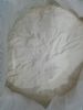 莎稗磷猫尔沃现货供应