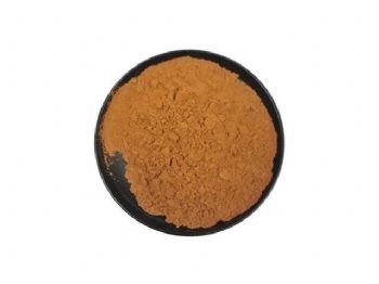 氨基寡糖素90%现货供应