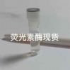 荧光素酶货源供应