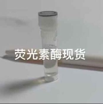 荧光素酶厂家优势供应