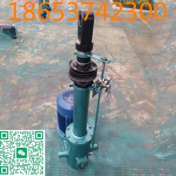 dtz2000-500直式电动推杆定做，内置/外置行程开关